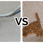 The Pros and Cons of DIY Carpet Cleaning vs. Professional Services