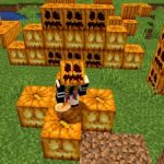 How to Grow Pumpkins in Minecraft