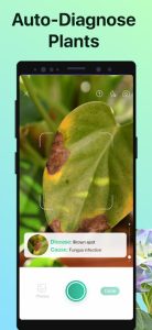 Picture This MOD APK (Premium Unlocked) for android v3.79.1 3