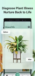 Picture This MOD APK (Premium Unlocked) for android v3.79.1 5