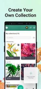 Picture This MOD APK (Premium Unlocked) for android v3.79.1 4