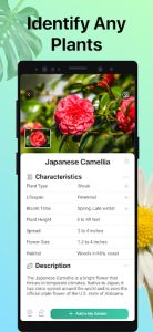 Picture This MOD APK (Premium Unlocked) for android v3.79.1 2